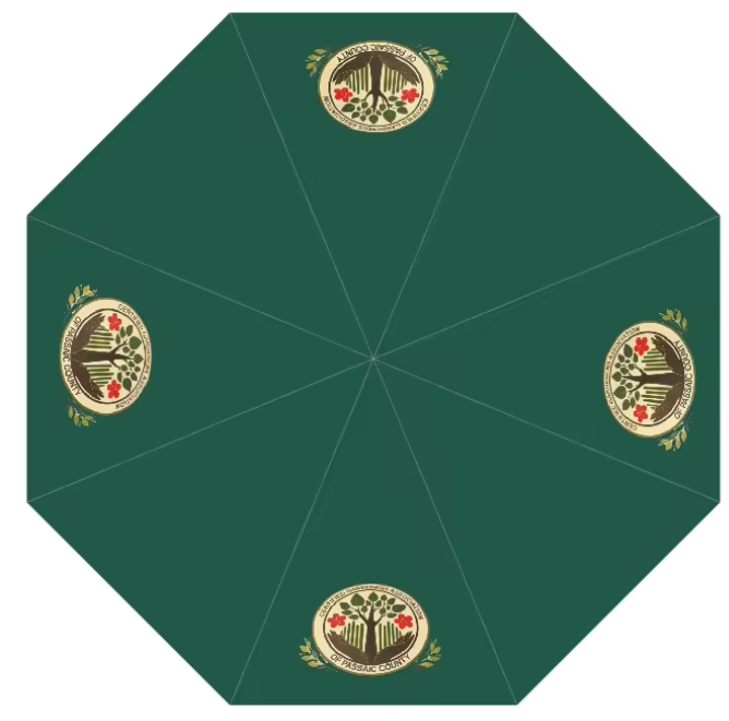 Umbrella (min order quantity 50)
